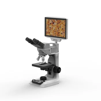 8 Skaidrės Etape Skenuoti Elektronų Mikroskopu