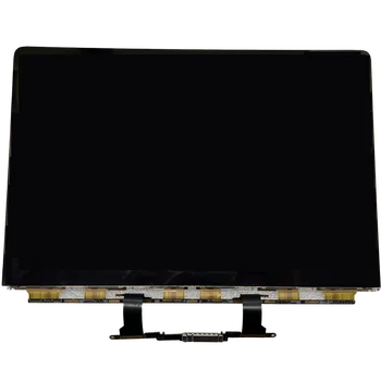 A2337 LCD Skydelis