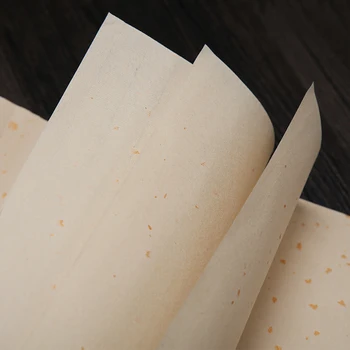 Kinijos Žaliavų Xuan Popieriaus Tirštėti Xuan Popieriaus 50sheets/daug Pradedančiųjų Kinų Kaligrafija Specialios Xuan Popieriaus su Dragon Modelis